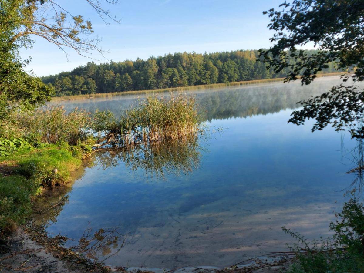 Dom Przy Lesie Villa Wielgie Exterior foto